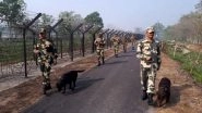 India News | BSF Seizes Narcotics, Rescues Large Number of Cattle Heads on Indo-Bangladesh Border