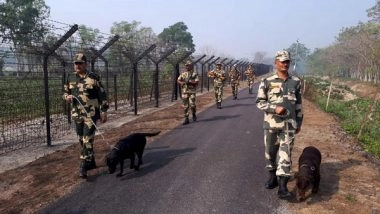 India News | BSF Seizes Narcotics, Rescues Large Number of Cattle Heads on Indo-Bangladesh Border