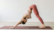 International Day of Yoga 2024: Yoga Poses for Beginners; 5 Easy Yoga Asanas With Names for a Smooth Journey of Yoga Practice