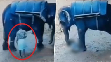 Kerala: Elephant Tramples Mahout to Death at Elephant Safari Centre 'Kerala Farm' in Kallar, Disturbing Video Surfaces