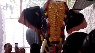 Kerala: PETA India Gifts Mechanical Elephant to Pournamikavi Temple in Venganoor, Video Surfaces