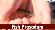 Fish Prasadam 2024 Distribution Date: What Is Fish Prasadam? Who Are the Bathini Family? All You Need To Know About the Fish Medicine Believed To Cure Asthma
