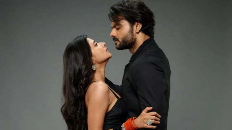 From Chand Jalne Laga to Silsila Badalte Rishton Ka, Top 5 Indian Daily Shows With Strong Lead Chemistry That Fizzled Out Quickly