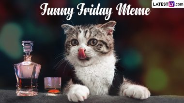 Funny Friday Memes To Kickstart Your Weekend! These Puntastic Jokes and Humorous Quotes Will Make You Say TGIF (View Viral Posts)