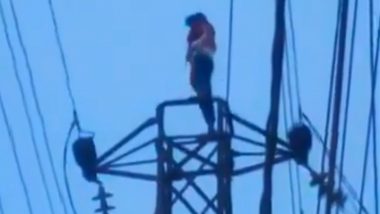 Hyderabad: Drunk Man Climbs and Sits on Electricity Pole Near Shankeshwar Bazar Square After Wife Leaves House in Saidabad, Brought Down Safely by Cops (Watch Video)