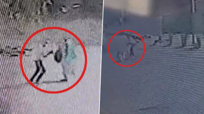 Murder Caught on Camera in Mohali: Sword-Wielding Man Chases Woman, Kills Her in Broad Daylight; Horrific Video Surfaces