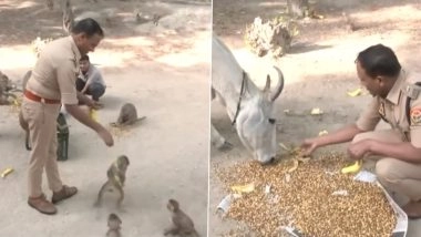 UP Police Offer Banana, Chickpeas to Monkeys and Cows Amid Heatwave, Video Surfaces