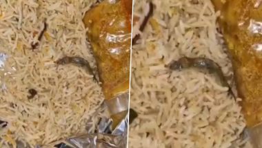 Dead Lizard Found in Biryani in Guntur: Customer Finds Lizard in Food Bought from Local Shop, Video Surfaces