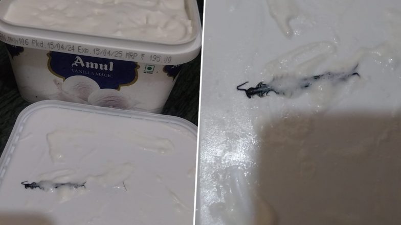 Centipede Found in Amul Ice Cream: Noida Woman Orders Family Pack of Ice Cream Through Blinkit, Finds 'Kankhajura' Inside (Watch Videos)