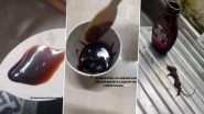 Dead Mouse Found in Hershey&rsquo;s Chocolate Syrup Ordered Online From Zepto, Family Shares Video