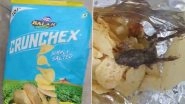 Dead Frog Found in Packet of Chips in Gujarat&rsquo;s Jamnagar, Probe Ordered After Video Goes Viral