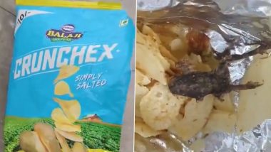 Dead Frog Found in Packet of Chips in Gujarat’s Jamnagar, Probe Ordered After Video Goes Viral