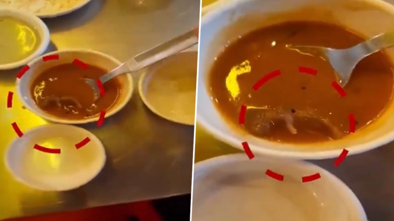 Dead Rat Found in Sambar at Devi Dosa Palace in Ahmedabad, Video Surfaces