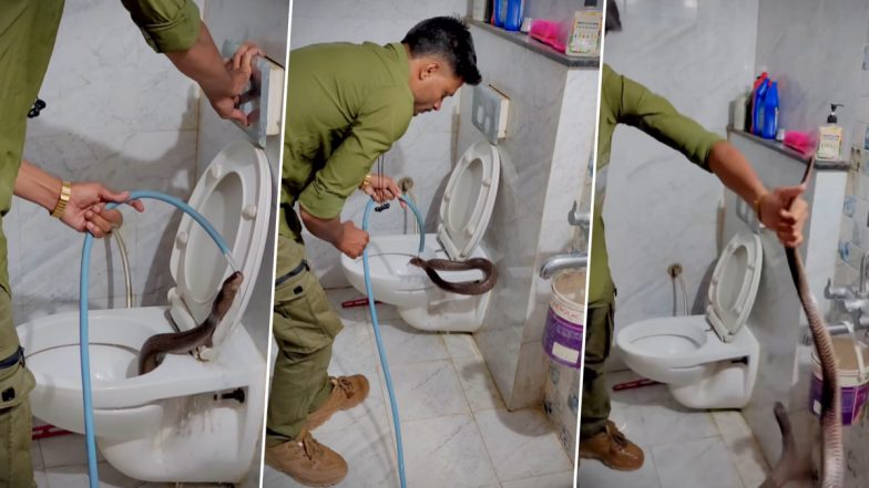 Cobra Found in Toilet Commode in Indore, Later Released Into Forest; Viral Video Surfaces