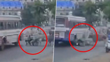 Tamil Nadu: Man Knocked Off Bike by Fighting Cows in Tirunelveli, Crushed by Bus; Disturbing Video Surfaces