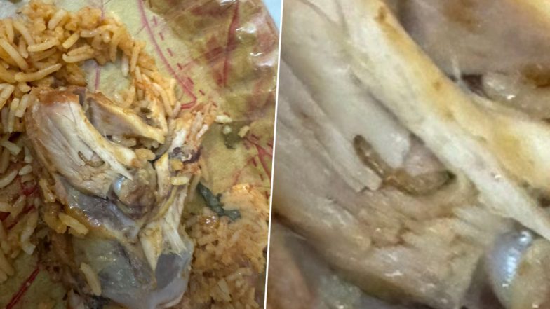 Bugs Found in Chicken Biryani of Mehfil Restaurant Ordered From Swiggy in Hyderabad, Pics Surface