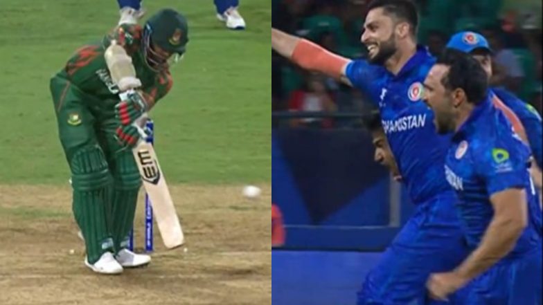 Afghanistan Winning Moment Video: Watch Naveen-ul-Haq Dismiss Mustafizur Rahman As Afghans Enter T20 World Cup 2024 Semifinals