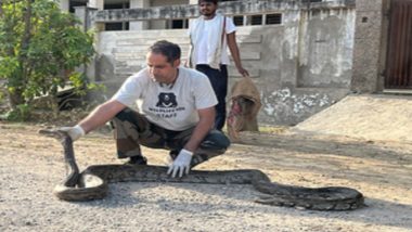 Snake Rescued in Uttar Pradesh: 10-Foot-Long Indian Rock Python Rescued From Residential Society in Agra