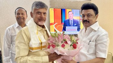 Tamil Nadu CM MK Stalin Meets TDP Chief Chandrababu Naidu at Delhi Airport After NDA, INDIA Bloc Meetings (See Pics)