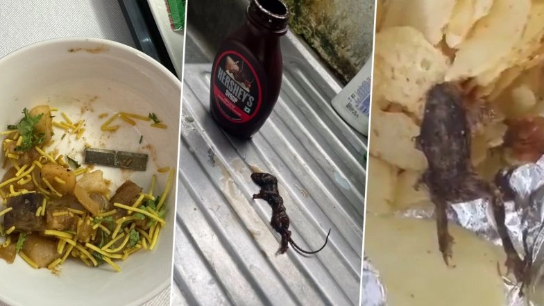 Human Finger in Ice Cream, Centipede in Amul Ice Cream, Dead Rat in Hershey's Chocolate Syrup &ndash; Scary Viral Videos of Shocking Discoveries in Food