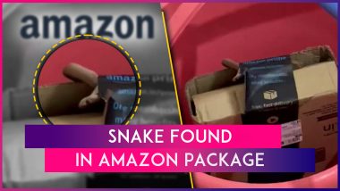 Bengaluru: Techie Orders Xbox Controller From Amazon, Finds Live Snake Inside Delivered Box