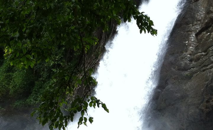 Wayanad Trip: 7 Tourist Places You Must Visit in Wayanad