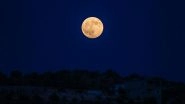 Strawberry Moon 2024 Date and Time: When Will June Full Moon Rise? Know More About the First Full Moon of the Summer Season