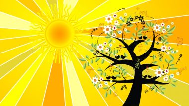 Summer Solstice Superstitions and Facts: Know The Significance and Traditions of the First Day of Summer in the Northern Hemisphere