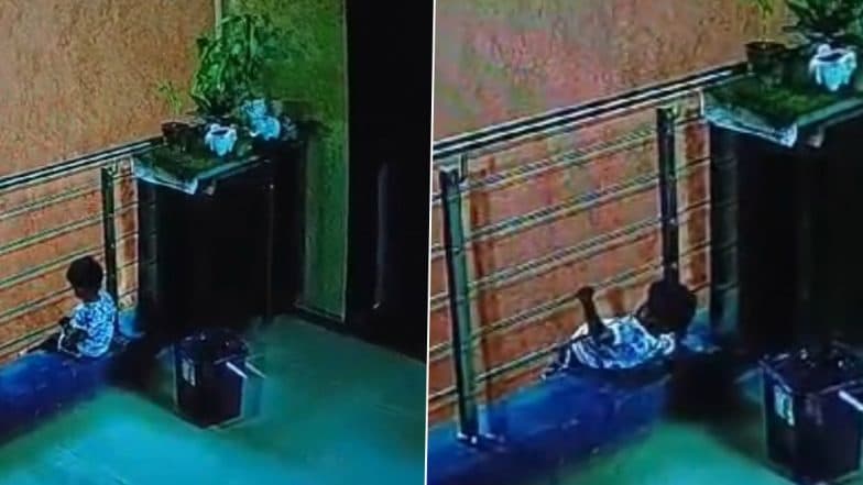 Surat Shocker: Two-Year-Old Boy Dies After Falling From 7th-Floor Balcony at Shripad Celebrations Society in Pal, CCTV Video Surfaces (Viewer Discretion Advised)