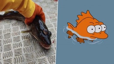 ‘The Simpsons’ Did It Again! Three-Eyed Fish in Greenland Convinces Internet of the Iconic Series’ Eerie ‘Prediction’ Done Right With Blinky (View Viral Pic)