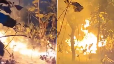 Uttarakhand Fire: Massive Blaze Erupts at a Forest Near Teda Village in Ramnagar (Watch Video)