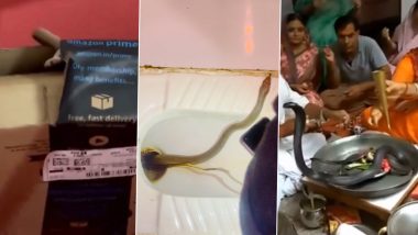 Viral Snake Videos: Snake in Amazon Package, Snake Found in Cauliflower - 5 Scariest Clips of Dangerous Reptiles Doing the Rounds of Social Media