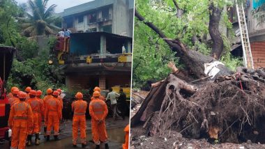 Virar: Elderly Woman Dies After Tree Falls on Her Due to Strong Winds in Palghar (See Pics)