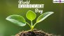 World Environment Day 2024 Date, Theme, History and Significance: All You Need To Know About the Day That Raises Awareness About Environmental Issues