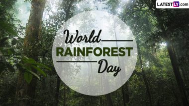 World Rainforest Day 2024 Date and Theme: Know the History and Significance of the Day That Highlights the Need To Protect and Conserve Rainforests