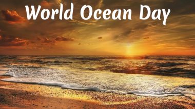 World Oceans Day 2024 Images and Messages: Quotes, Slogans, Sand Arts and Wallpapers To Share on This Global Awareness Day