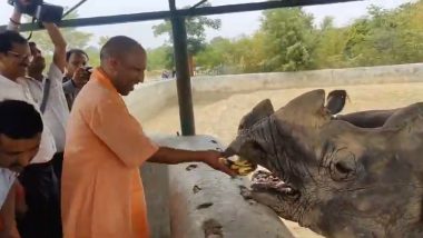Uttar Pradesh CM Yogi Adityanath Visits Gorakhpur Zoo, Feeds Rhinos 'Har' and 'Gauri'; Viral Videos Surface