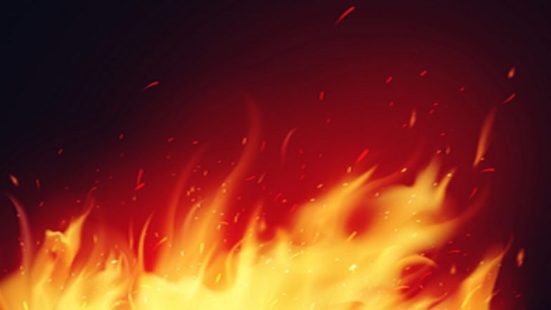 Ahmedabad Fire: Two Killed, Three Injured After Fire Breaks Out at Arihant Industrial Estate in Odhav Area