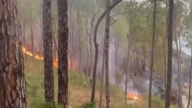 Himachal Pradesh Fire: Blaze Erupts at Dingu Forest in Bilaspur (Watch Video)