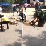 Mass Looting in Agra Video: Residents Loot 30 Crates of Liquor Spilled From Delivery Vehicle in Etmadpur