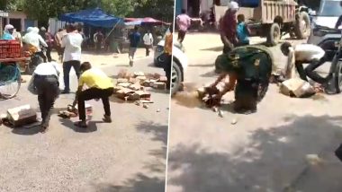 Mass Looting in Agra Video: Residents Loot 30 Crates of Liquor Spilled From Delivery Vehicle in Etmadpur