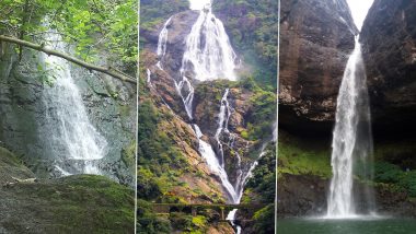 Famous Waterfalls in Goa and Maharashtra: Pali Waterfall, Dudhsagar Falls, Devkund Waterfall and 4 Other Waterfalls That Are Popular Among Tourists During Monsoons