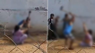 Andhra Pradesh: Woman Hospitalised After Younger Brother Attacks Her With Axe Over Property Dispute in Anantapur, Disturbing Video Surfaces