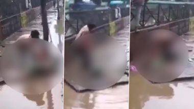 Delhi Rains: Woman Electrocuted to Death On Waterlogged Road During Heavy Rain Bhajanpura; Disturbing Video Surfaces