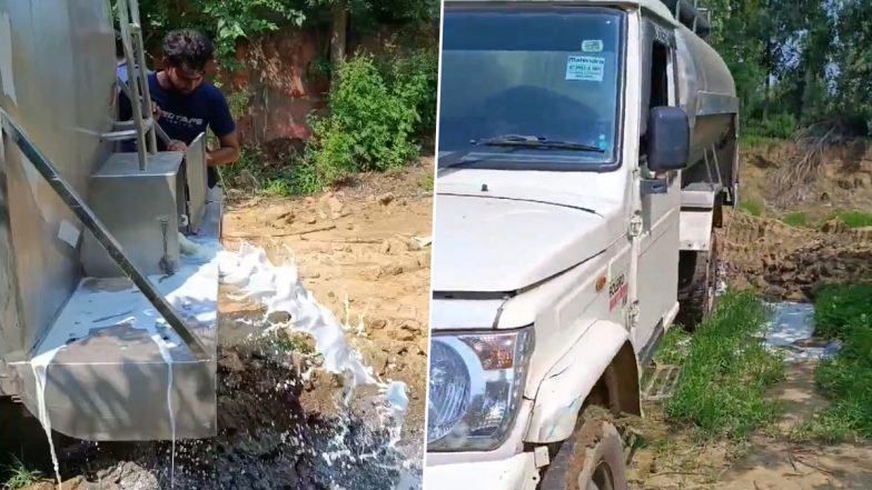 'Fake Milk' Found in Uttar Pradesh: Food Safety Officials Destroy 1,400 Litres of Adulterated Milk in Bulandshahr, Video Surfaces