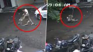 Monkey Attack in Maharashtra: Student Injured After Monkey Attacks Kids in Kolhapur, Video Surfaces