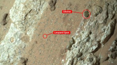 Signs of Life Found on Mars? NASA Perseverance Rover Finds Rock Which Indicates Red Planet May Have Hosted Life Billions of Years Ago (Watch Video)