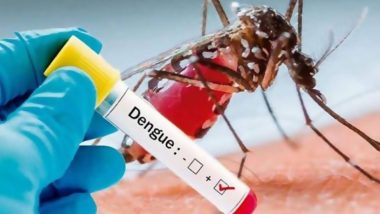 Dengue Outbreak: Bihar Reports 55 Cases of Mosquito-Borne Fever in Last 24 Hours; Doctors Urge Use of Mosquito Repellents