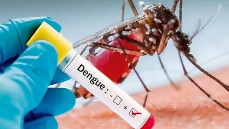 Dengue Outbreak: Karnataka Government Notifies Dengue Fever as Epidemic Disease Amid Surge in Cases