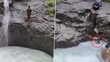 Maharashtra: Youth Jumps Into Waterfall at Tamhini Ghat Near Pune, Gets Swept Away; Disturbing Video Surfaces